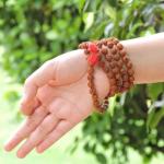 Rudraksha Jaap Mala Certified