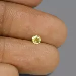 Yellow Sapphire ( 2.51 - Carats)