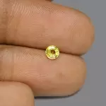 Yellow Sapphire ( 2.88 - Carats)