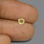 Yellow Sapphire ( 1.75- Carats)