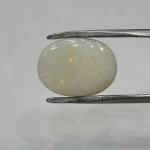 Opal 6.30 Carat