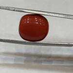 Coral 13.10 Carat